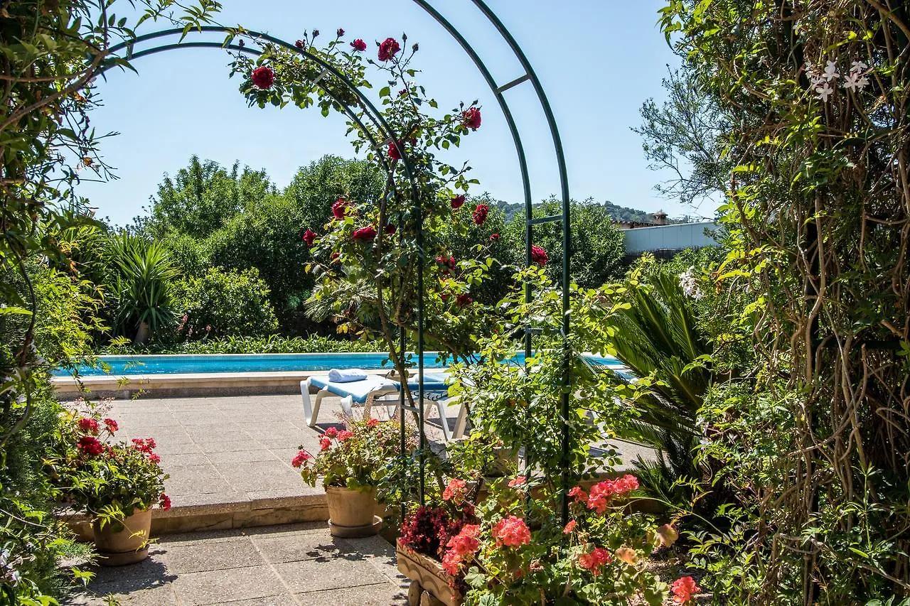 Panada Villa Pollenca